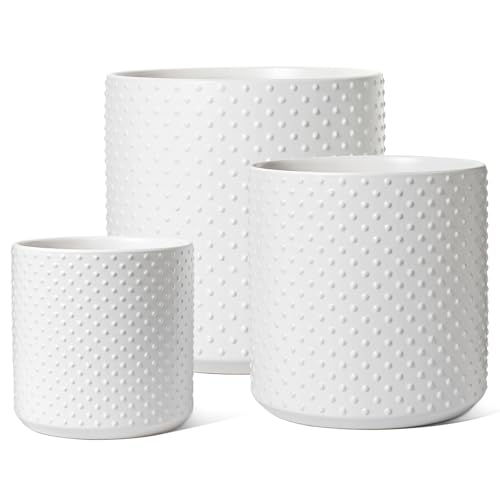 LE TAUCI 6/8/10 Inch Plant Pots, Ceramic Planters for Indoor Plants, Large Plant Pots Indoor, Flower Pots for Plants with Drainage Hole and Plug, Cylinder Planter Pots, Set of 3, Classic Matte White