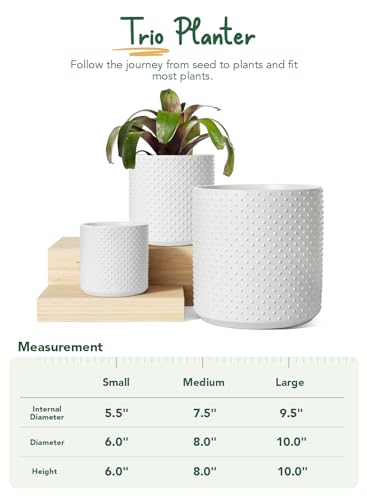 LE TAUCI 6/8/10 Inch Plant Pots, Ceramic Planters for Indoor Plants, Large Plant Pots Indoor, Flower Pots for Plants with Drainage Hole and Plug, Cylinder Planter Pots, Set of 3, Classic Matte White