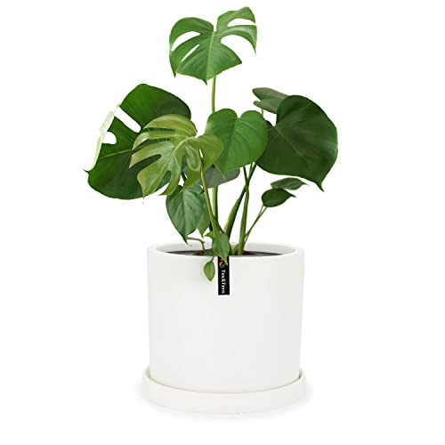 Fox & Fern 12 Inch Plant Pot, 12 Inch Pots for Plants, White Planters for Indoor Plants - Fits Mid Century Modern Plant Stand - Drainage Plug and Saucer - Fiberstone - Matte White - 12 Inch Planter