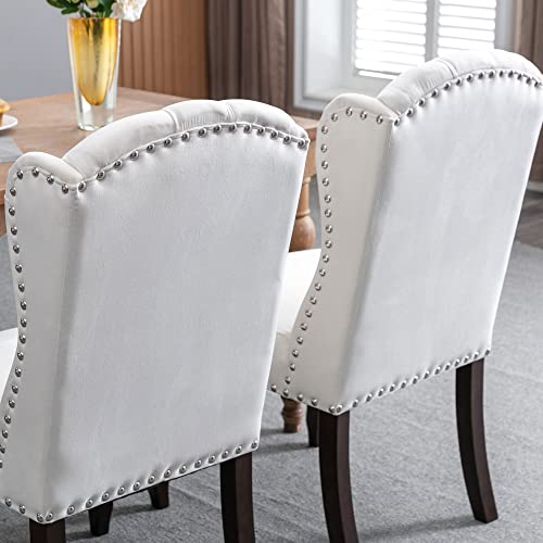 DM Furniture Velvet Dining Chairs Farmhouse Solid Wood Accent Chairs Side Host Kitchen Chair with Tufted Back for Dining Room/Living Room/Bedroom (Set of 2, Cream)