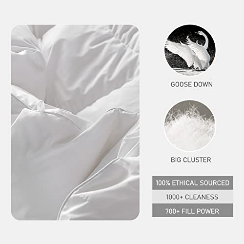 DWR Pinch Pleat Goose Feathers Down Comforter King Size, Ultra Soft Cotton Blend Cover, Luxury Fluffy Duvet Insert with 8 Corner Tabs, All-Season Medium Warm Bed Comforter(White, 106"x90")