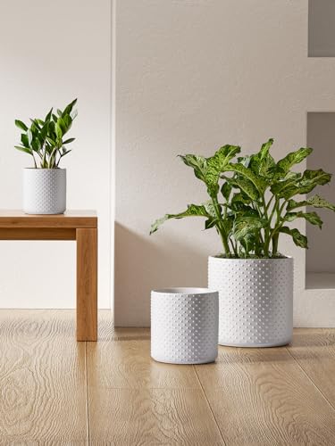 LE TAUCI 6/8/10 Inch Plant Pots, Ceramic Planters for Indoor Plants, Large Plant Pots Indoor, Flower Pots for Plants with Drainage Hole and Plug, Cylinder Planter Pots, Set of 3, Classic Matte White