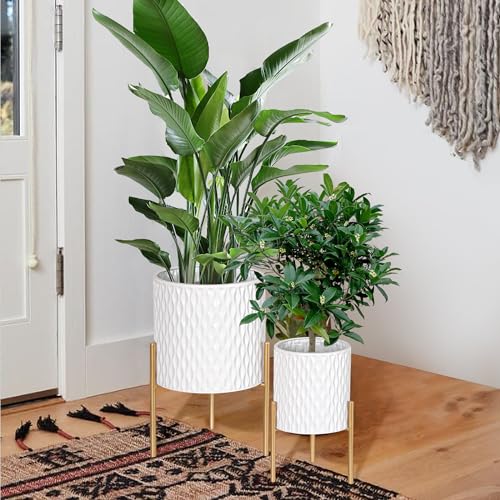 ARNIS Plants Pots with Stand, Indoor Planter Pots, Unique Mid Century Decorative Metal Flower Pots with Drainage, 8 & 10.25 Inch, White and Gold