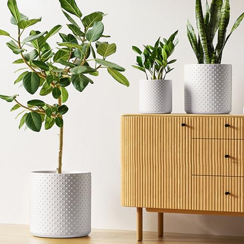 LE TAUCI 6/8/10 Inch Plant Pots, Ceramic Planters for Indoor Plants, Large Plant Pots Indoor, Flower Pots for Plants with Drainage Hole and Plug, Cylinder Planter Pots, Set of 3, Classic Matte White