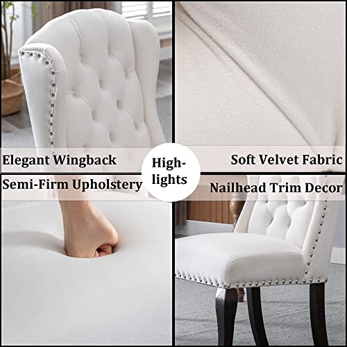 DM Furniture Velvet Dining Chairs Farmhouse Solid Wood Accent Chairs Side Host Kitchen Chair with Tufted Back for Dining Room/Living Room/Bedroom (Set of 2, Cream)