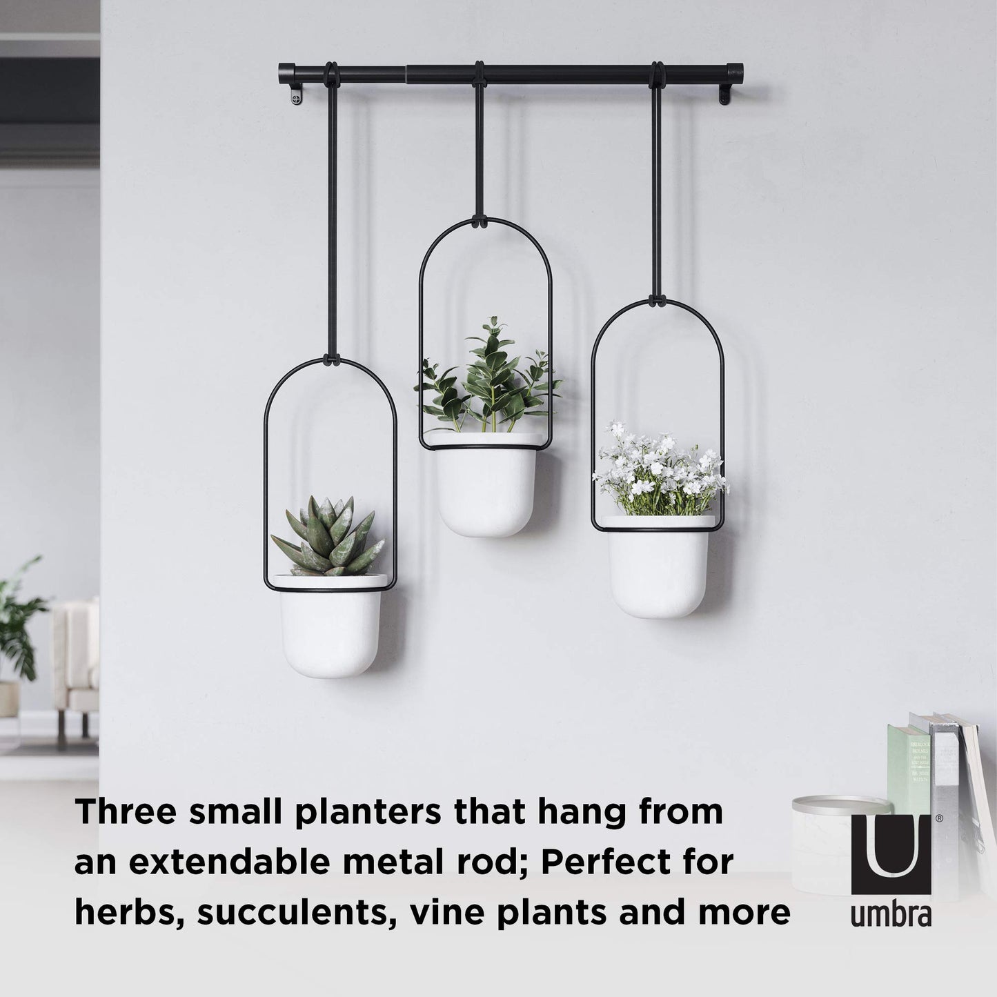 Umbra Triflora Hanging Planter for Window, Indoor Herb Garden, White/Black, Triple